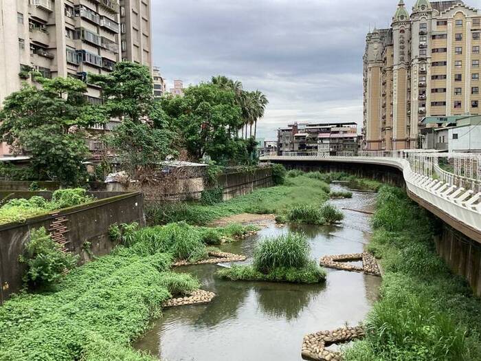 113學年度大窠溪走讀教學活動圖片